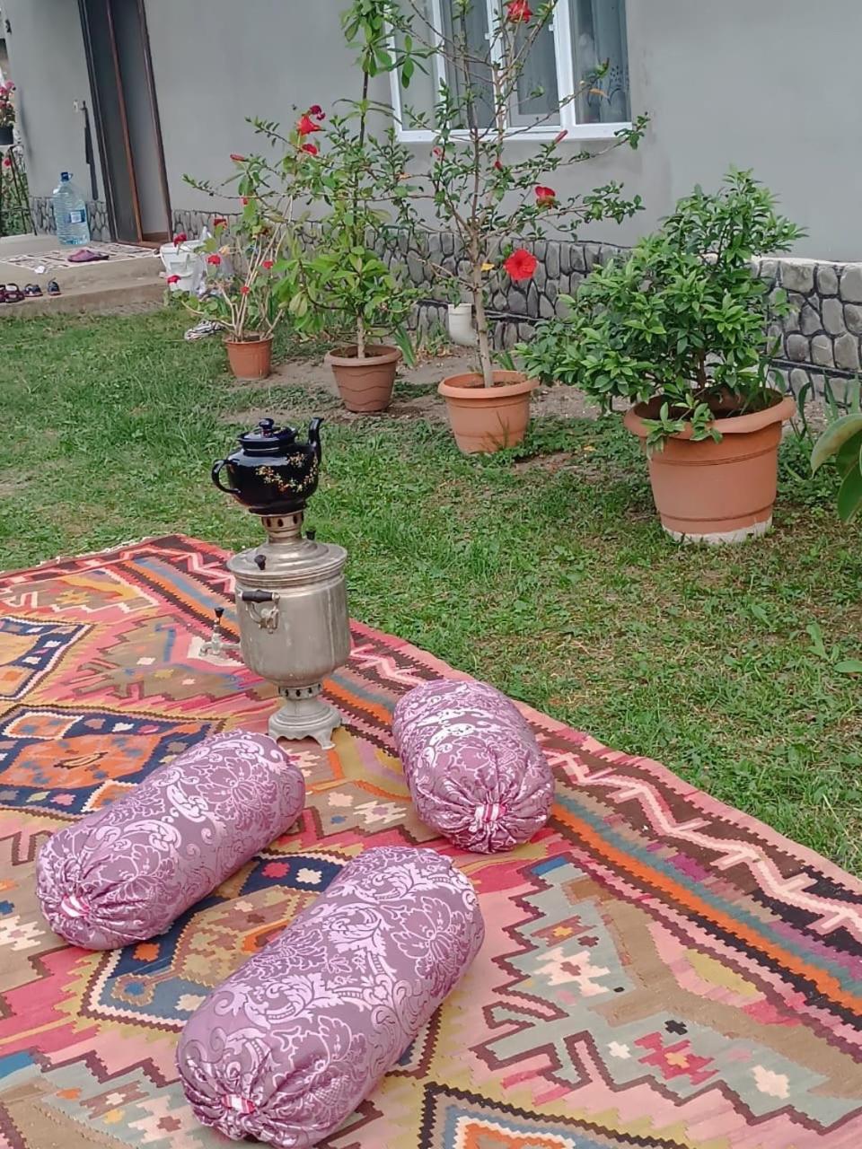 Ismayilli Guest House エクステリア 写真